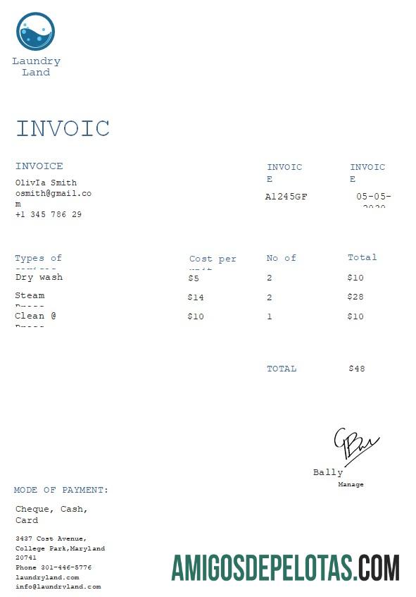 realista Modelo de fatura de lavanderia grátis